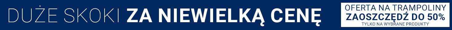 promo-banner